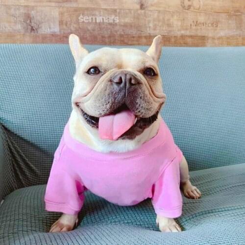 Designer Dog Clothes for Small Medium Dogs French Bulldog Sweatshirt Letter Print Dog Hoodie Winter Pugs Costume XS-XXL A64