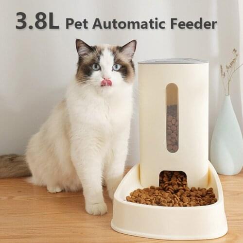 Newest 3.8L Pet Cat Dog Automatic Feeder Pet Dog Cat Filter Water Dispenser Food Water Bowls Water Fountain for Pet Supplies