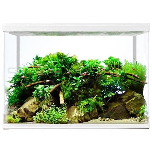 Starfish aquarium white aquarium ecological creative living room Mini glass desktop home lazy Goldfish Aquarium