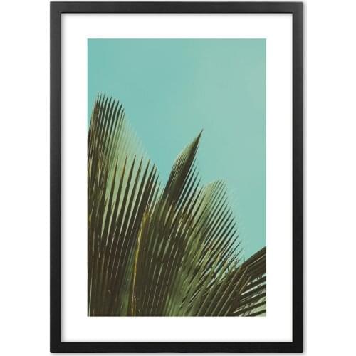 Nordic Botanical Tropical Plants Palm Leaves Photography Wall Art Paper Painting Landscape Wall Pictures For Living Room Decor