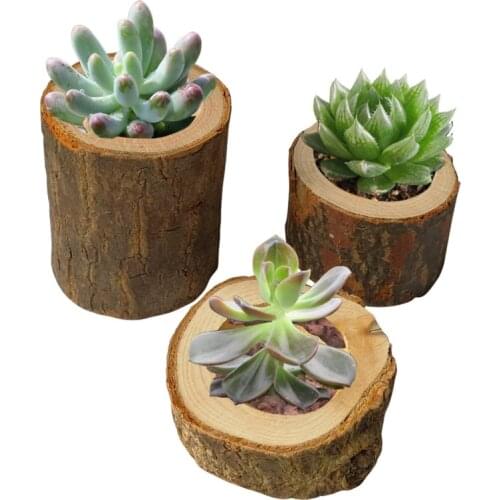 Wooden Crafts Decoration Bark Stump Candle Holder Small Flower Pot Home Decoration