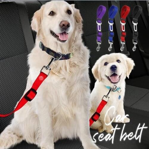 Isfriday Dog Harness
