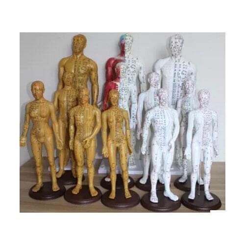 Fashionable Hot Sale Acupoint Model High Quality Plastic Mannequin On Sale