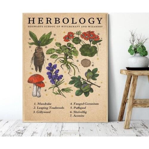 Herbology Botanical Vintage Poster Flower Plant Mushrooms Wall Picture Education Canvas Painting Retro Wall Art Home Decoration