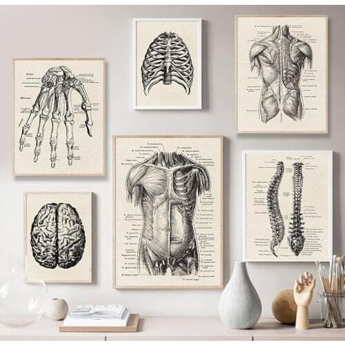Vintage Human Anatomy Diagram Poster Retro Organ Muscle Skeleton Canvas Painting Medical Education Research Schematic Pictures
