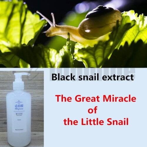 Snail Mucus Essence Solution Repair Replenishment Whitening Acne Printing Beauty Salon OEM 500ml