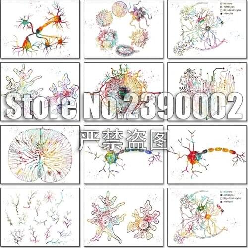 Medical and Science 5d Diy Diamond Painting Cross Stitch Diamond Embroidery Mosaic Watercolour Paintings Full Rhinestone Gifts
