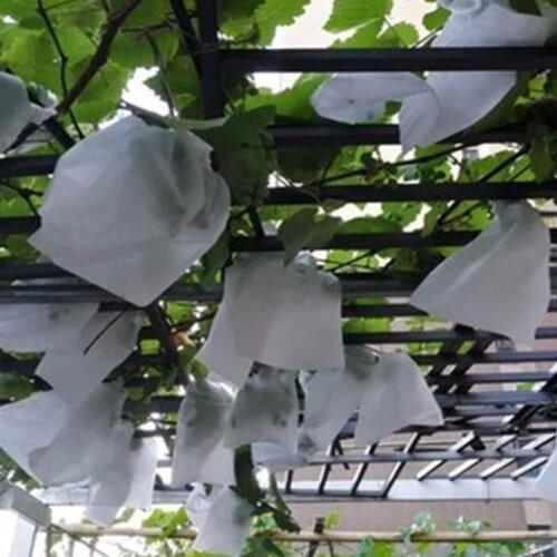 100PCS Grape Protection Bags, Fruit Protection Garden Fruit Flower Protection Bag To Prevent Wasps, Birds, Cherry Vinegar Fly