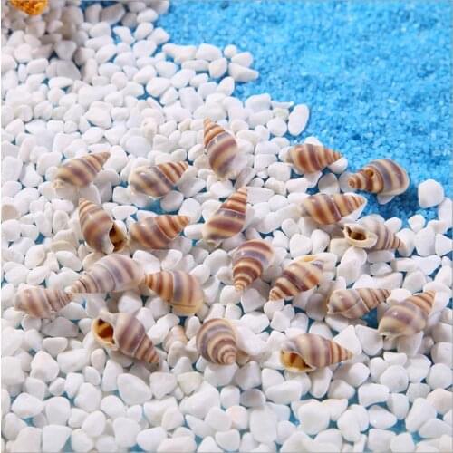Natural Conch 1~2mm DIY Fashion Beach Natural Crafts for Aquarium Fish Tank Decor
