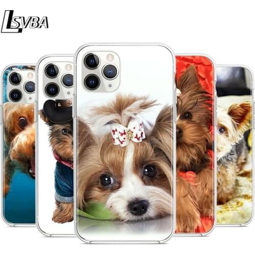 Yorkshire terrier dog puppy Silicone Cover For Apple iPhone 12 Mini 11 Pro XS Max XR X 8 7 6S 6 Plus 5S SE 2020 Phone Case