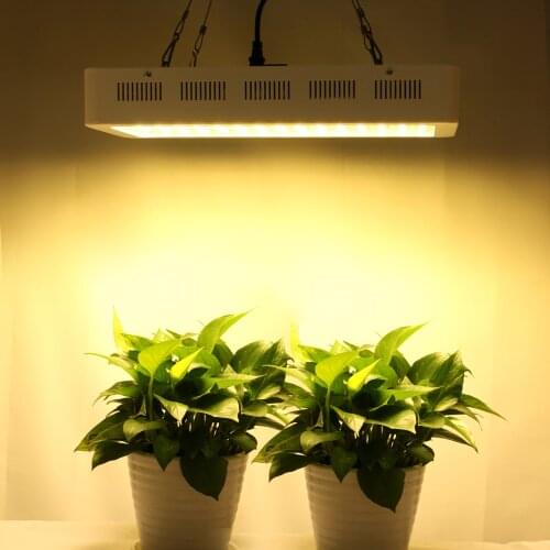 Modern LED Plant Growth Lamp 600W Plant Light Supplement Full Spectrum Meat Plant Lamp ETL Certificate