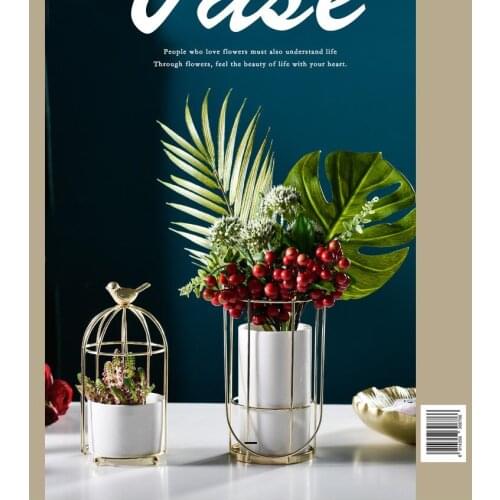 European Wrought Iron Ceramic Flower Pot Bird Cage Iron Frame Vase Ornaments Home Livingroom Table Furnishing Decoration Crafts