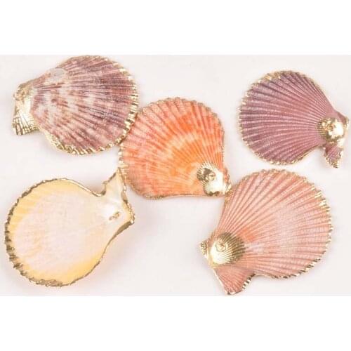 5pcs About 20mm Gold Plated Sector Shell For Crafts Home Drop Decor DIY Jewelry Charms Seashells Handmade Earring Pendant TR0298