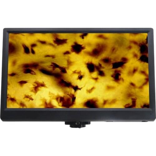 AmScope 1080p HDMI Digital Camera for Standalone and PC Imaging + HD Monitor HD200VP-S11B