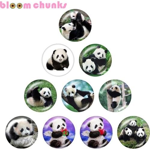 Panda Animal 10pcs mixed 12mm/18mm/20mm/25mm Round photo glass cabochon demo flat back Making findings S6725