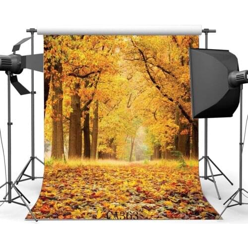 Photography Backdrop Rural Forest Autumn Fall Leaves Natural Scene Seamless Background Studio Prop CA363