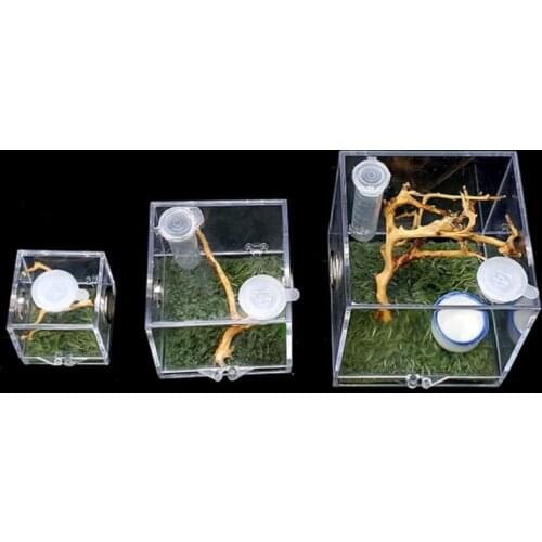 Spider Habitat Feeding Cage Nano Breeding Box for Spiders Grasshopper Cricket Scorpions Mantis Beetle and Small Reptile
