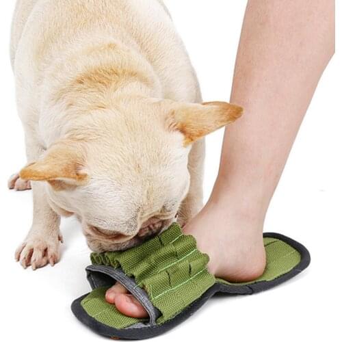 Puppy Chew Toys, Toys for Medium Dogs, Bite-Resistant Slipper Shape Dog Sniff Sound Feeding Training Interactive Toy Orange