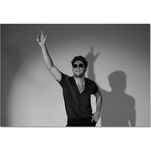 Singer Niall Horan Style Posters Wall Art Decor Picture Modern Home Room Decoration High Quality Canvas Painting 27x40cm,30x45cm
