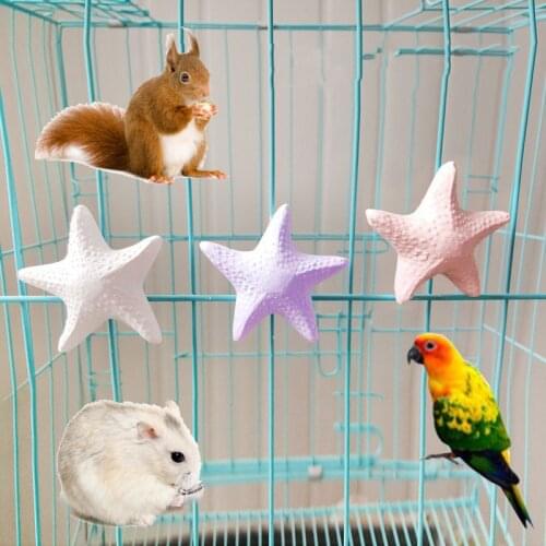 2020 New Arrival Parrot Mouth Grinding Blah Stone Bird Design Bird Toy Molar Stone Cage Toys Parakeet Cockatiel Budgie Products