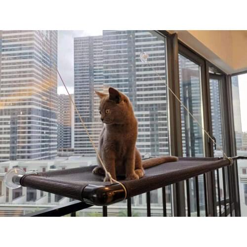 1PC Cute Pet Hanging Beds Bearing 25kg Cat Sunny Window Seat Mount Pet Cat Hammock Comfortable Cat Pet Bed Shelf Seat Beds