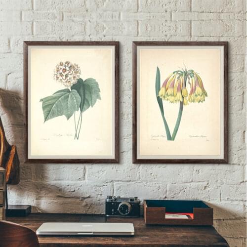 Retro Botanical Canvas Painting Home Living Bedroom Decor Vintage Ancient Flower Wall Art Picture A1 A2 A4 Size Poster