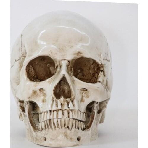 Statues Sculptures Resin Halloween Home Decor Decorative Craft Skull Size 1:1 Model Life Replica Medical High Quality