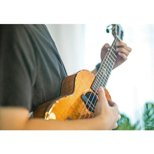 DOUBLE U0 Ukulele Pickup Built-In Chorus Delay Reverb Effects Soundhole Dual Channel Pick Up System Acoustic Ukulele Accessories