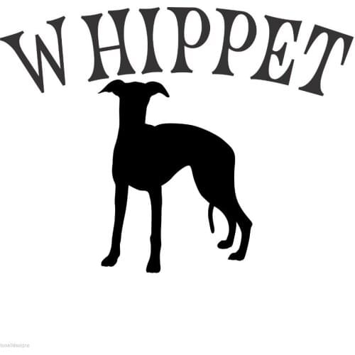 Pet Shop Sticker Dog Decal Muurstickers Posters Vinyl Wall Art Decals Pegatina Quadro Parede Decor Mural Pet Shop Sticker