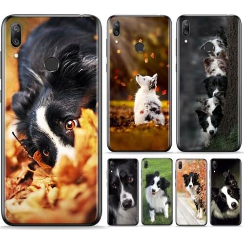 Border Collie Dog Silicone Cover For Huawei P Smart 2021 2020 Z S Plus Mate 30 20 10 Pro Lite 2019 2018 Phone Case