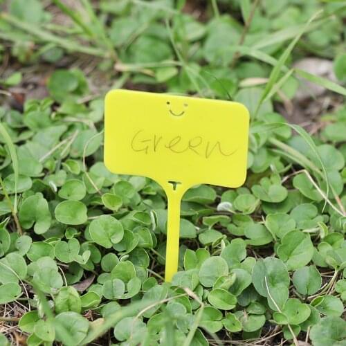 100pcs T Shape Garden Labels Gardening Plant Classification Markers Sorting Seedling Tags Greenhouse Nursery Pots Writing Plate