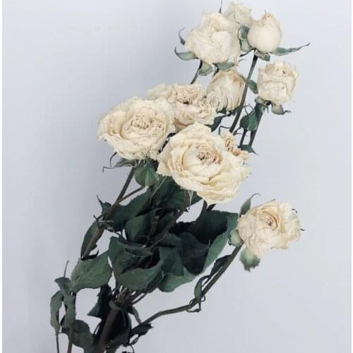 20pcs Champagne rose Wedding Flower Bunch Romantic Bubble Small Rose Flower Dry Bouquet Home Furnishing Decorate Red