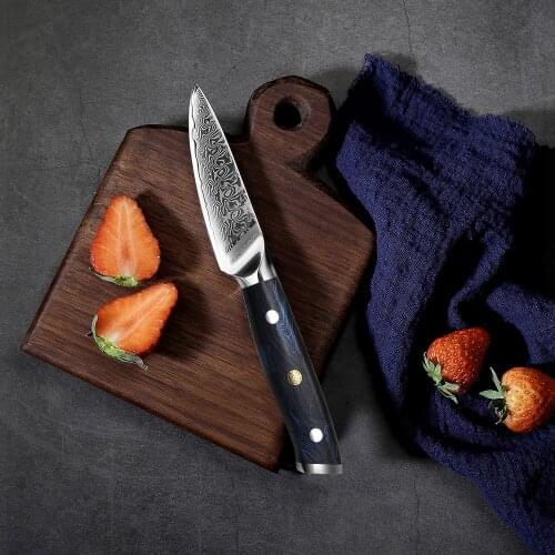 NANHAION 3.5 Inch Damascus Paring Knife Japanese Damascus Steel VG10 Knife Mosaic Rivet G10 Handle Peeling Fruit Kitchen Knife