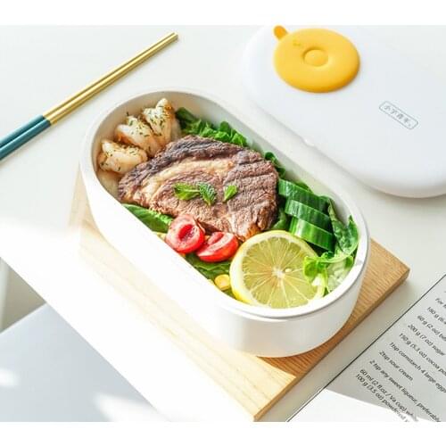 220V Electric Meals Lunch Heating Box Multifunction Electric Rice Cooker Portable Mini Multi Cooker For Travel Office Student