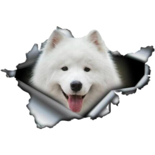 Pet design car stickers external accessories car supplies cartoon decoration bumper window refrigerator PVC decals