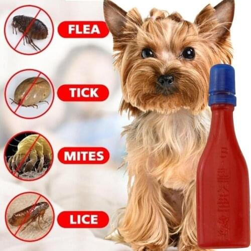 2.5ml Pet Insecticide Flea Lice Insect Killer Spray Mites Ticks Drops Dog Cat Puppies Kittens Treatment Pest Control Repellent