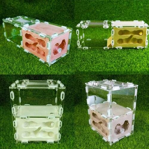 Rectangular Bionic Acrylic Plaster Nest Ants Farm House Reptile Terrarium 4 Colors To Choose From