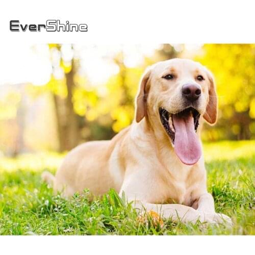 Evershine Diamond Painting Cross Stitch Animals Diamond Embroidery Dog Full Set Handwork Diamond Mosaic Kit Beads Embroidery Art