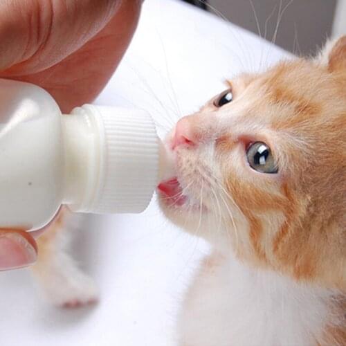 White 50ml Baby Dog Cat Water Bottle Kitten Feeding Bottles Dog Feeder With Brush Plastic Puppy Nursing Milk Bottle