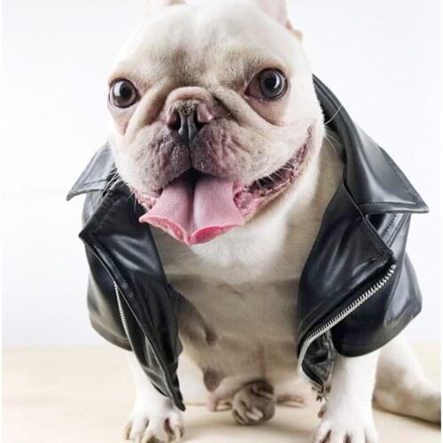 French Bulldog Clothes Leather Coat Jacket Winter Dog Clothing Schnauzer Pug Dog Costume Dropshipping Frenchies Dog Apparel