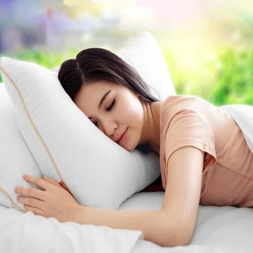 Firstlight Large Pillows