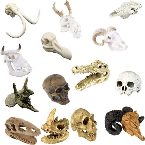 Fish Tank Reptile Vivarium Landscape Ornament Hide Cave House Decor