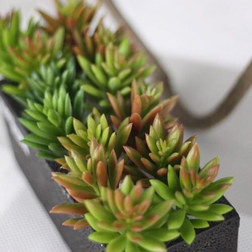 Mini Artificial Fleshiness Cactus Plant Fake Succulent micro - landscape decoration flower home decoration Fake flower