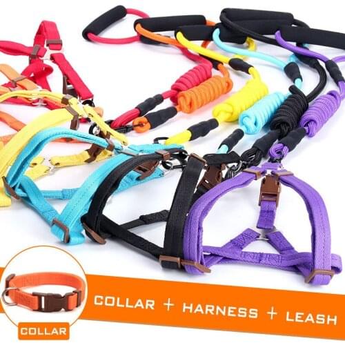Climbing Rope Dog Traction Sets Nylon Adjustable Collar Harness Vest Retractable Leash Set Pets Accessories triple schnauzer