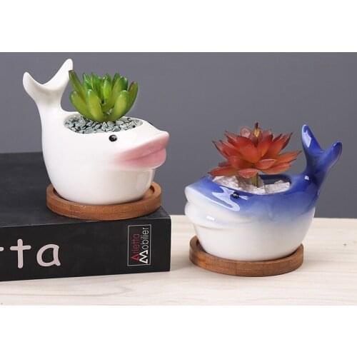 Creative Ceramics Cartoon Mini Whale Flowerpot Simple Succulent Plant Container Green Planters Small Bonsai Pots Home Decoration