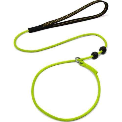 Lightweight Slip Dog Leash Dog Training Leash 2 In 1 Pet Leash for Small Medium Dogs Puppy Thin But Sturdy Adjustable Slip Lead