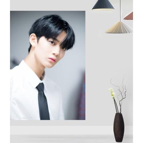 Custom Bae Jin Young KPOP Poster Wall For Living Room Art Poster Decoration Canvas Fabric No Frame Morden Print Wall 0224