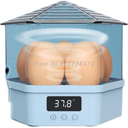 Incubator Small Household Automatic Temperature Control Mini Chicken Incubator Water Bed Incubator Intelligent Parrot Bird Egg