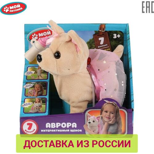 MOY PITOMETS Toys And Goods For Creativity