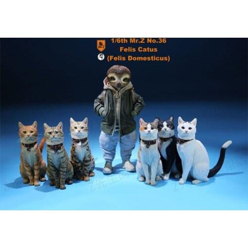 Mr.Z 1/6 Scale Felis Catus No. 036 Domestic cat model toy simulation cat simulation animal model for 12' action figure accessory